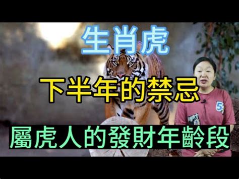 屬虎禁忌喪事|金虎年／屬虎喜喪皆不能沾？江柏樂：沒這種事 一喜破三災 